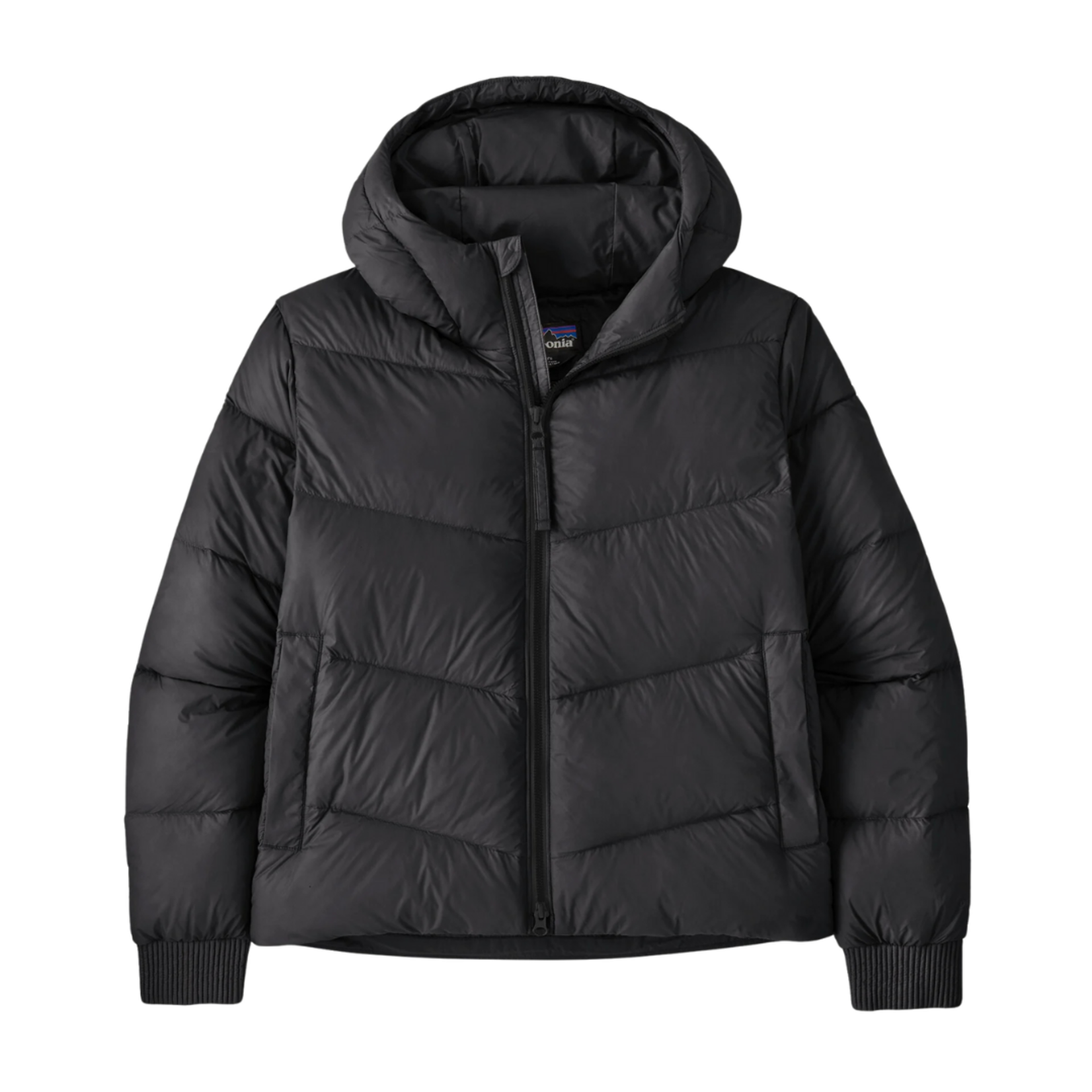 Patagonia Women's Sindit Hoody Jacket