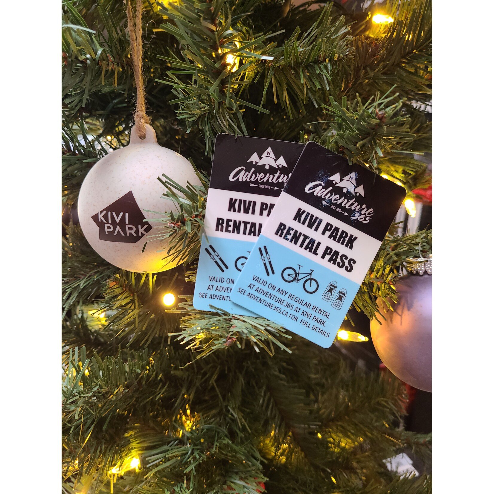 Kivi Park Rental Card