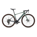 Liv Avail Advanced E+ Elite AR - Small