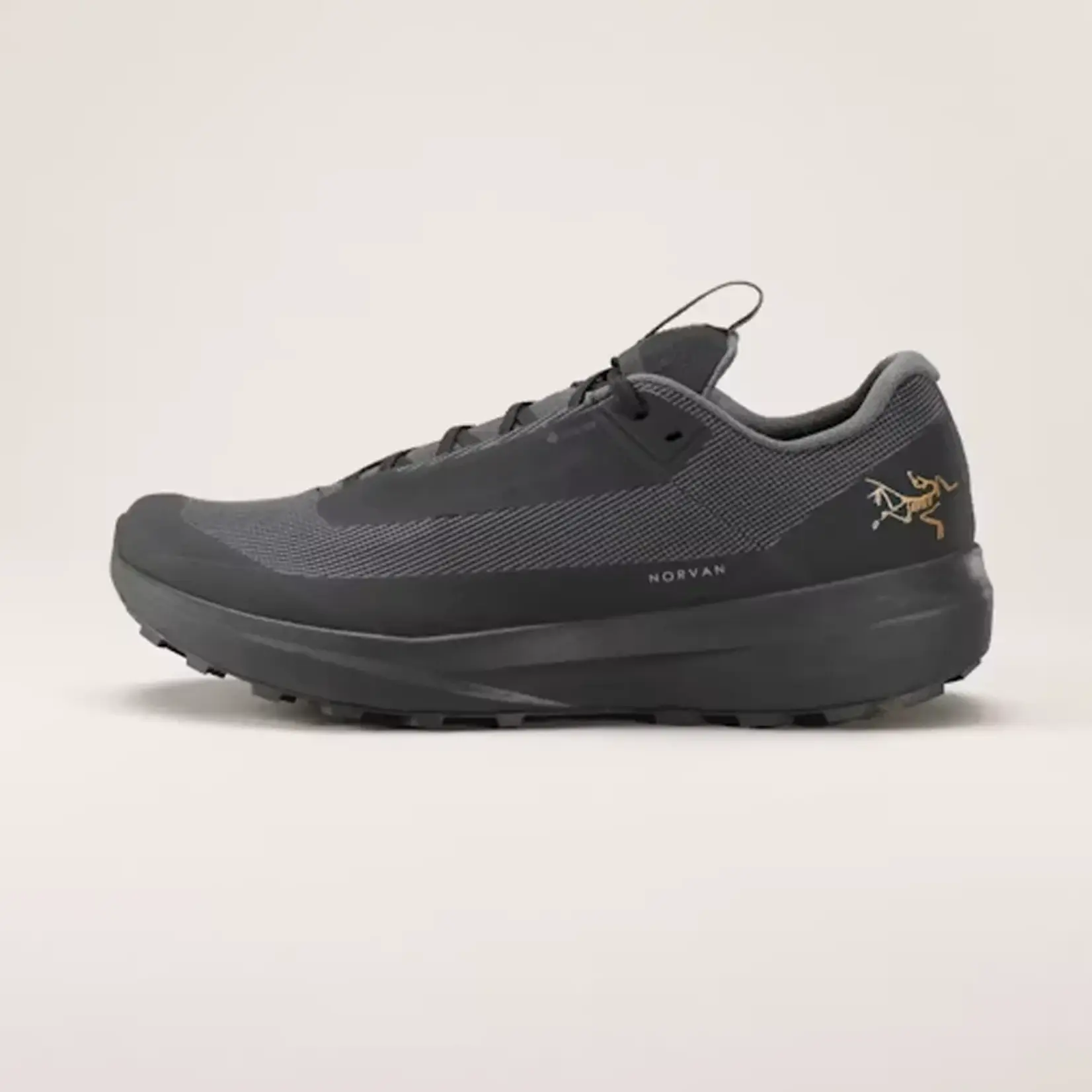 Arc'Teryx Norvan LD 4 GTX Women's Trail Running Shoe