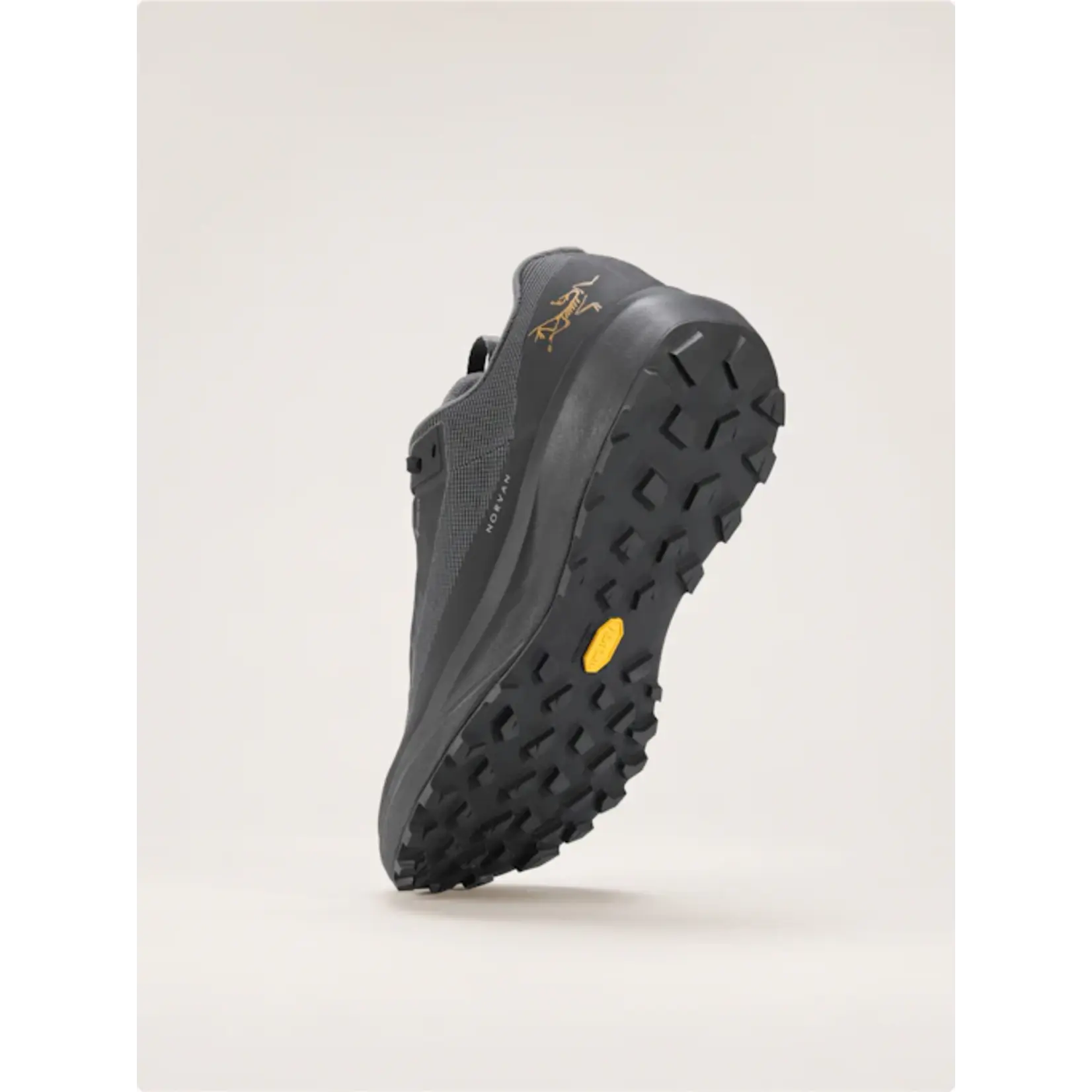 Arc'Teryx Norvan LD 4 GTX Women's Trail Running Shoe