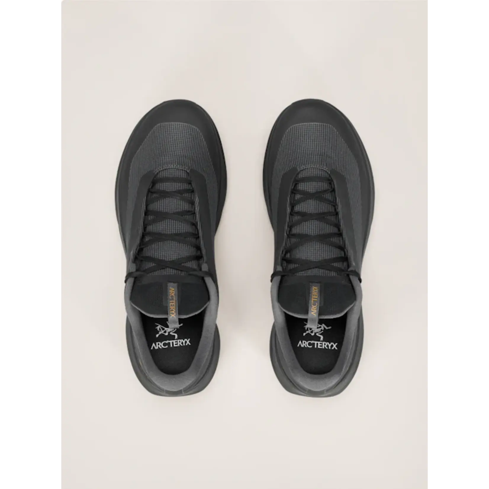 Arc'Teryx Norvan LD 4 GTX Women's Trail Running Shoe