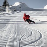ALPINE SKIS