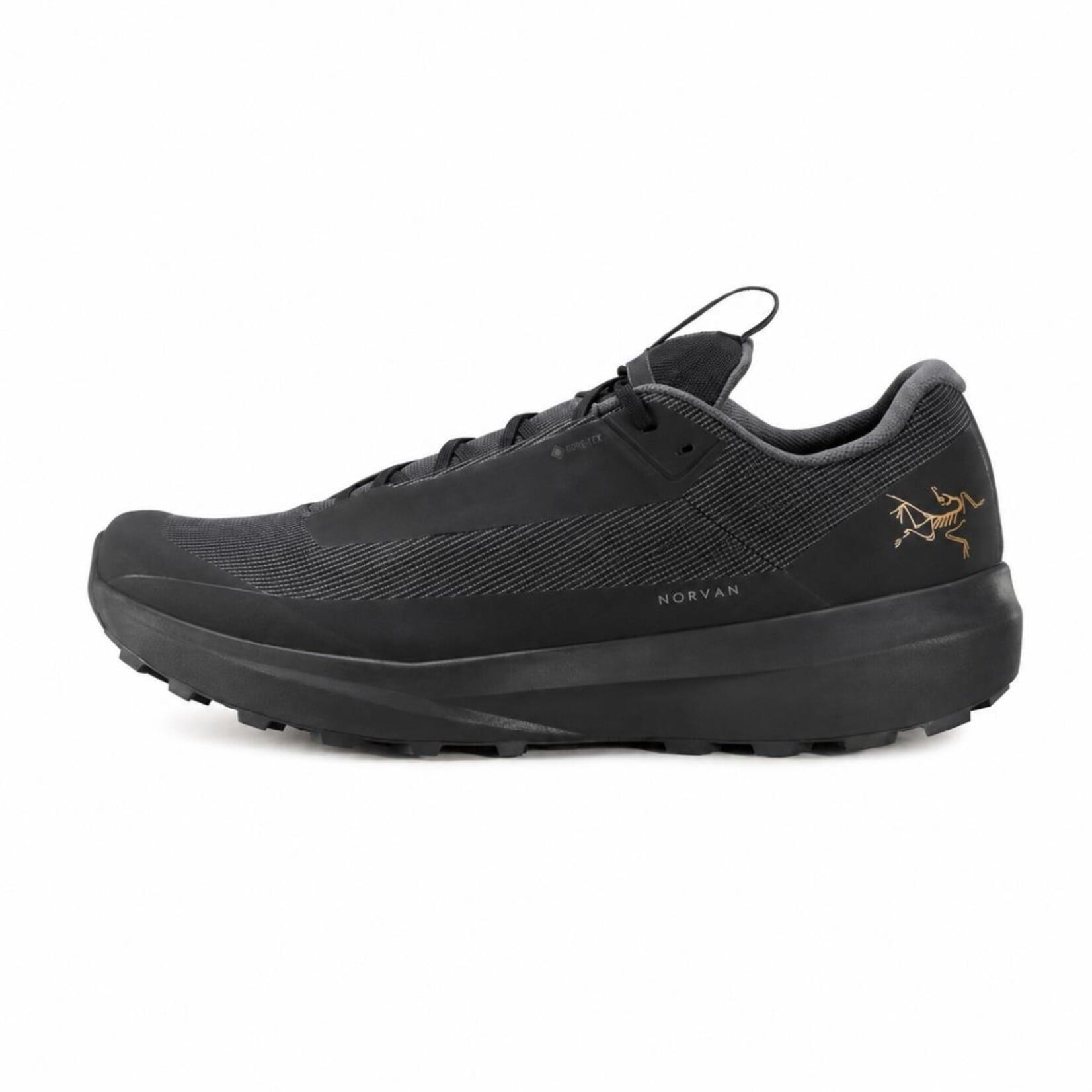 Arc'Teryx Norvan LD 4 GTX Men's Trail Running Shoe