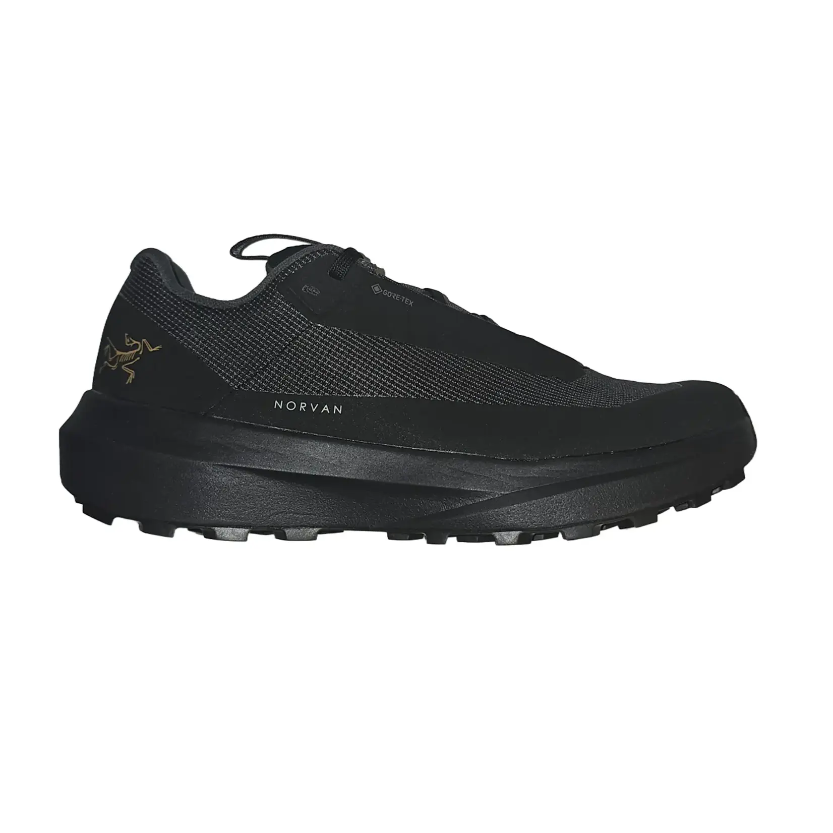 Arc'Teryx Norvan LD 4 GTX Women's Trail Running Shoe