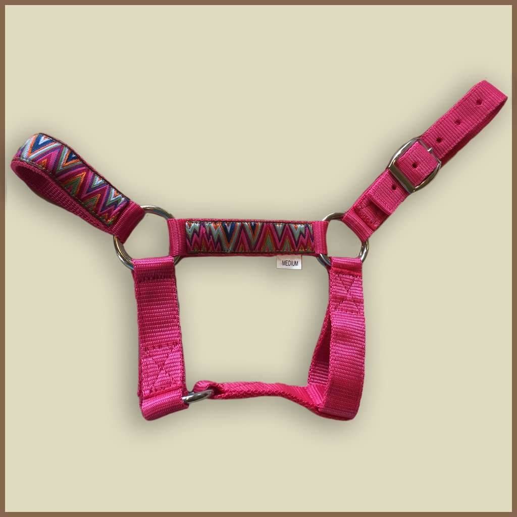 Miniature Donkey Halter & lead The Show Trunk II