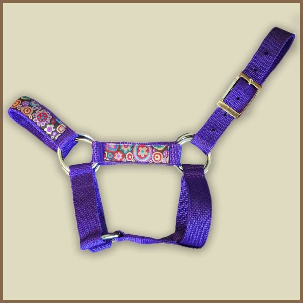 Miniature Donkey Halter & lead The Show Trunk II