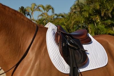 EquiFit EquiFit Essential Square Pad