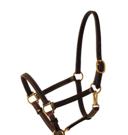 Tory Leathers Tory Leather 3/4" Halter Cob