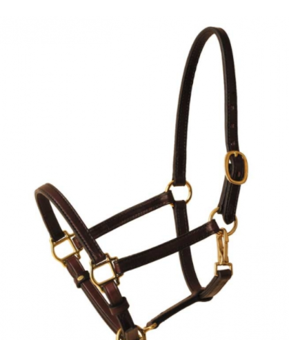 Tory Leathers Tory Leather 3/4" Halter Cob