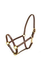 Tory Leathers Tory Leather 3/4" Halter Horse