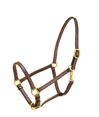 Tory Leathers Tory Leather 3/4" Halter Horse