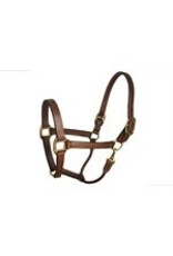 Perri's Leather Stable Halter