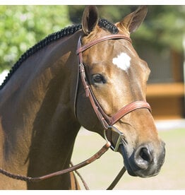 Rodrigo Pessoa Fancy Raised Bridle