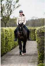 Schockemohle Verena Style