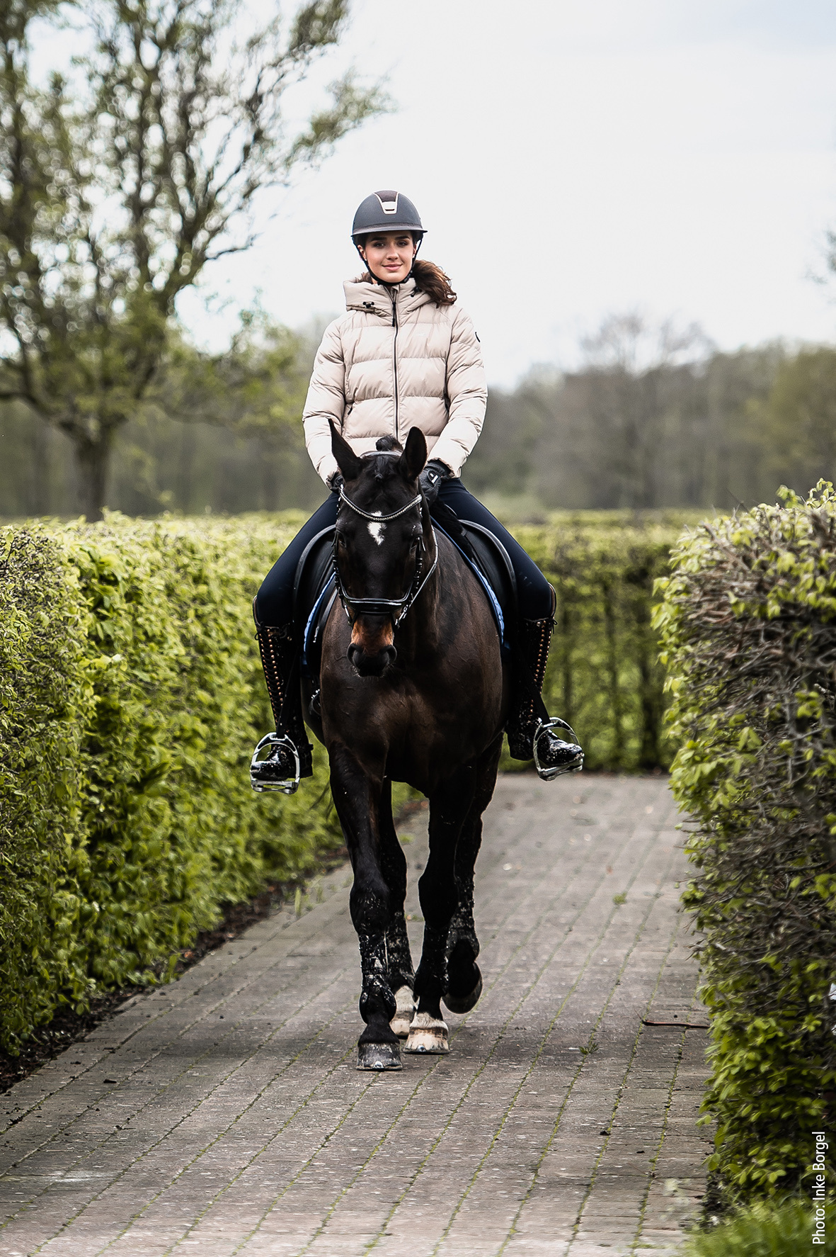 Schockemohle Verena Style