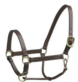 Tory Padded Leather Halter - The Show Trunk II