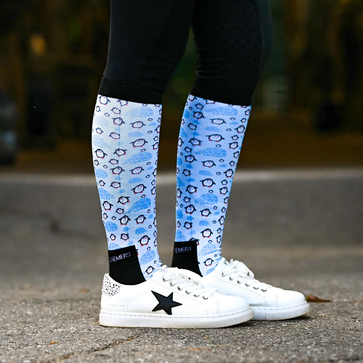 DS Ladies' Boot Socks Winter-Holiday
