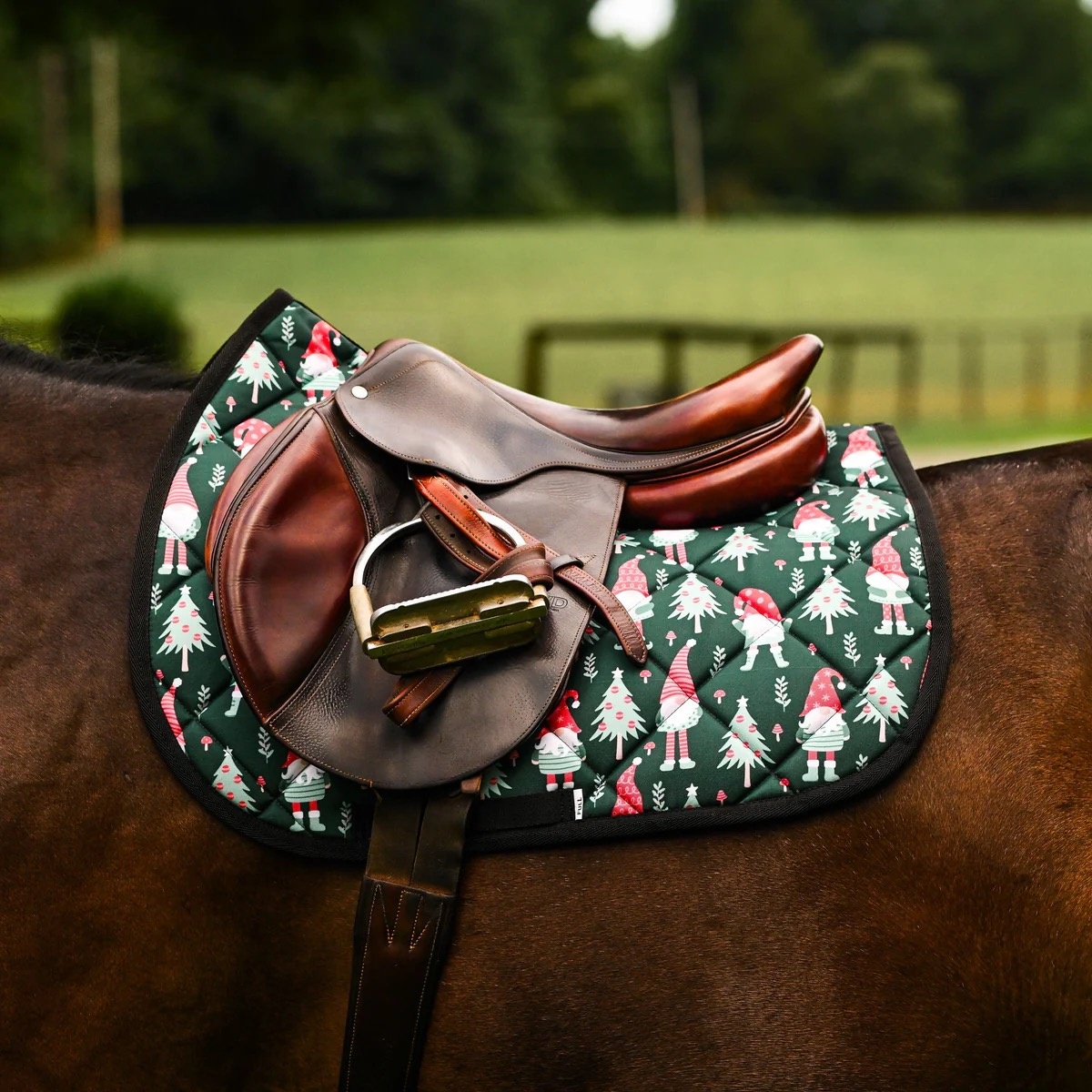 DS Saddle Pads