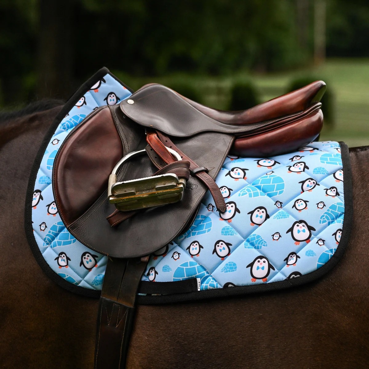 DS Saddle Pads