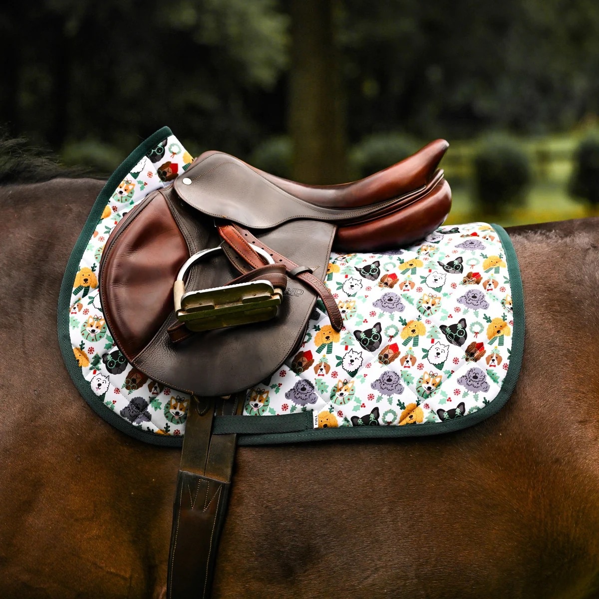 DS Saddle Pads