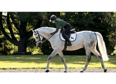 Equestrian Apparel