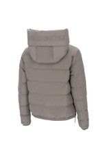 Schockemohle Violet Style