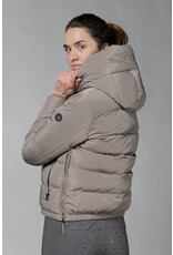 Schockemohle Violet Style