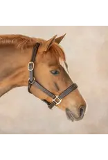 DS Stewart Padded leather Halter