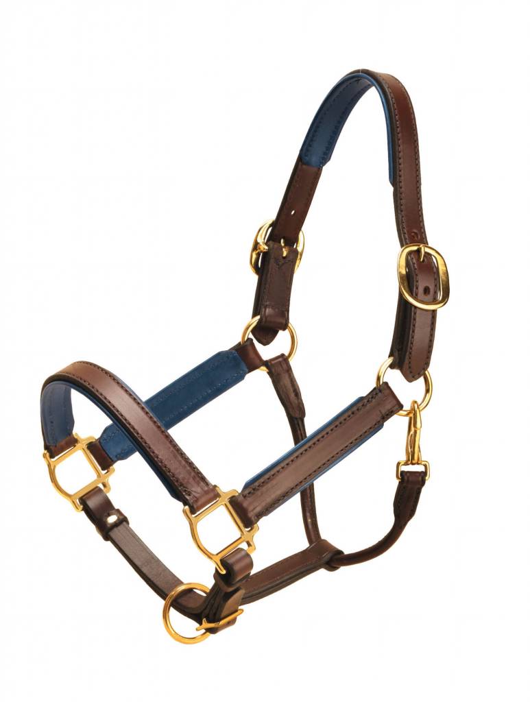 Padded Leather Halter