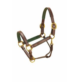 Tory Leathers Tory 1" Padded Leather Halter