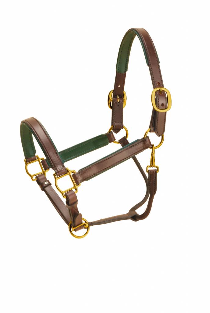 Leather Halter with Metallic Color Padding Perri's Leather - Halters, Halters Leads