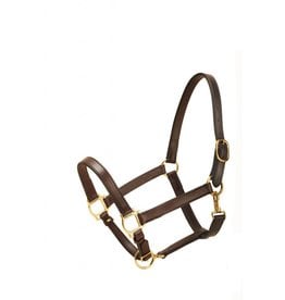 Tory Leather Rochester Congress Halter- Show Halters