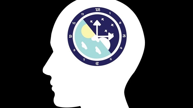 Lighting Strategies to Regulate Your Circadian Rhythm Through the Winter
