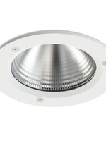 Lightheaded Guardian Downlight