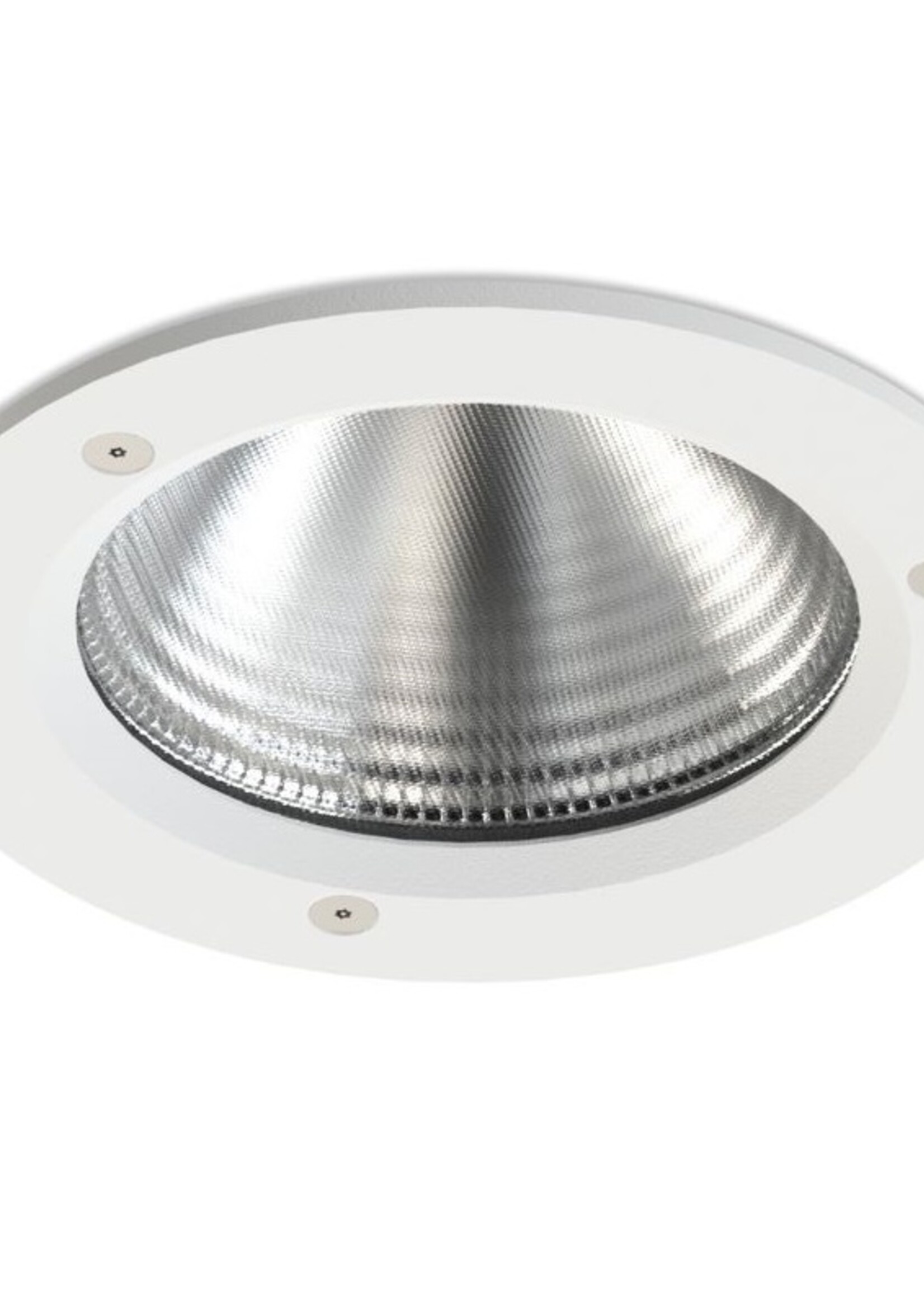 Lightheaded Guardian Downlight