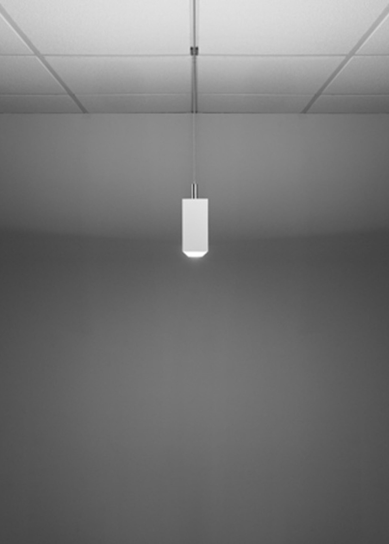 Focal Point Seem 1 Direct/Indirect Suspension