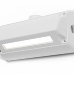 Lightheaded Guardian Wall Light