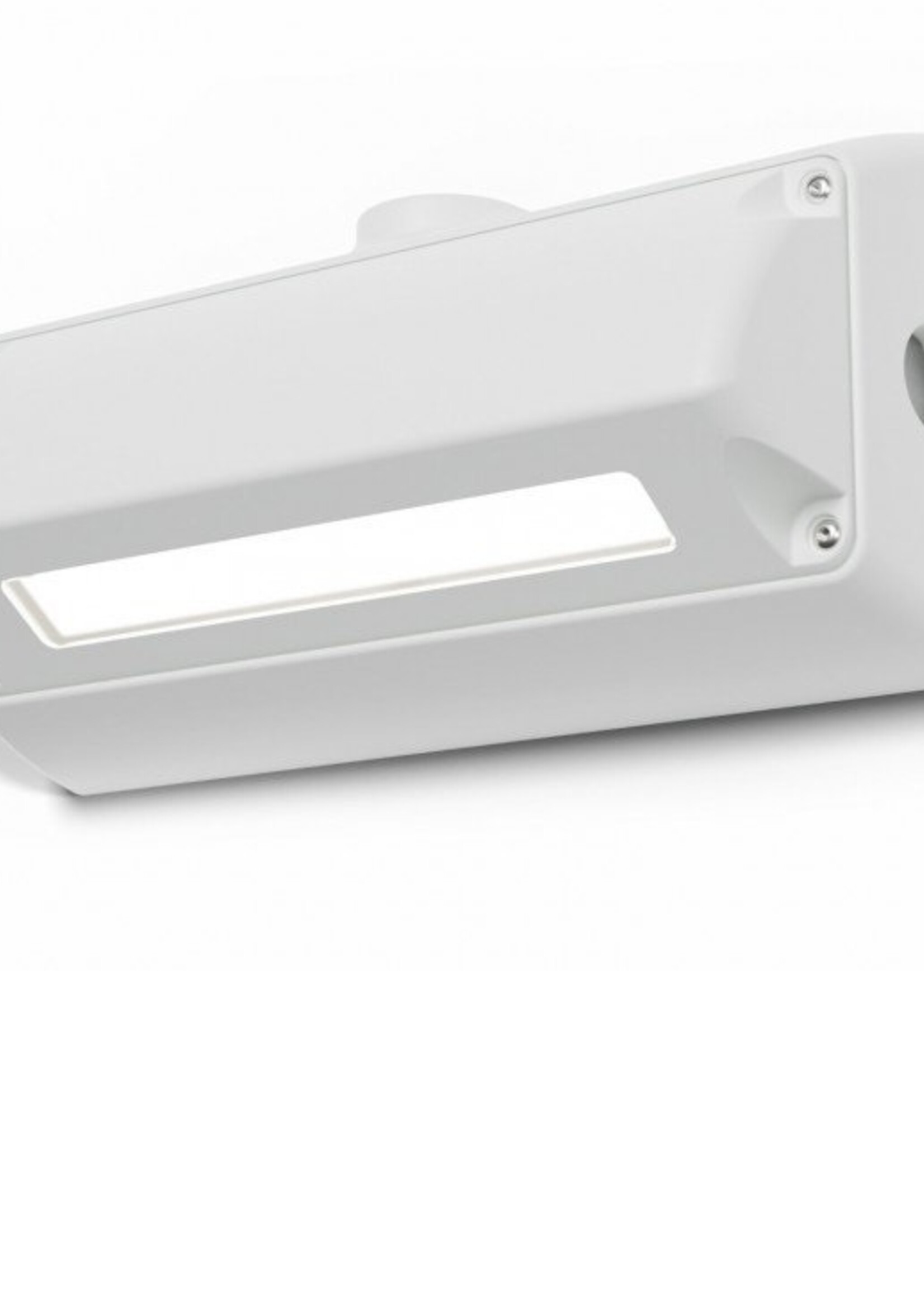 Lightheaded Guardian Wall Light