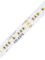 Lucetta Lighting Celeste Dim-to-Warm