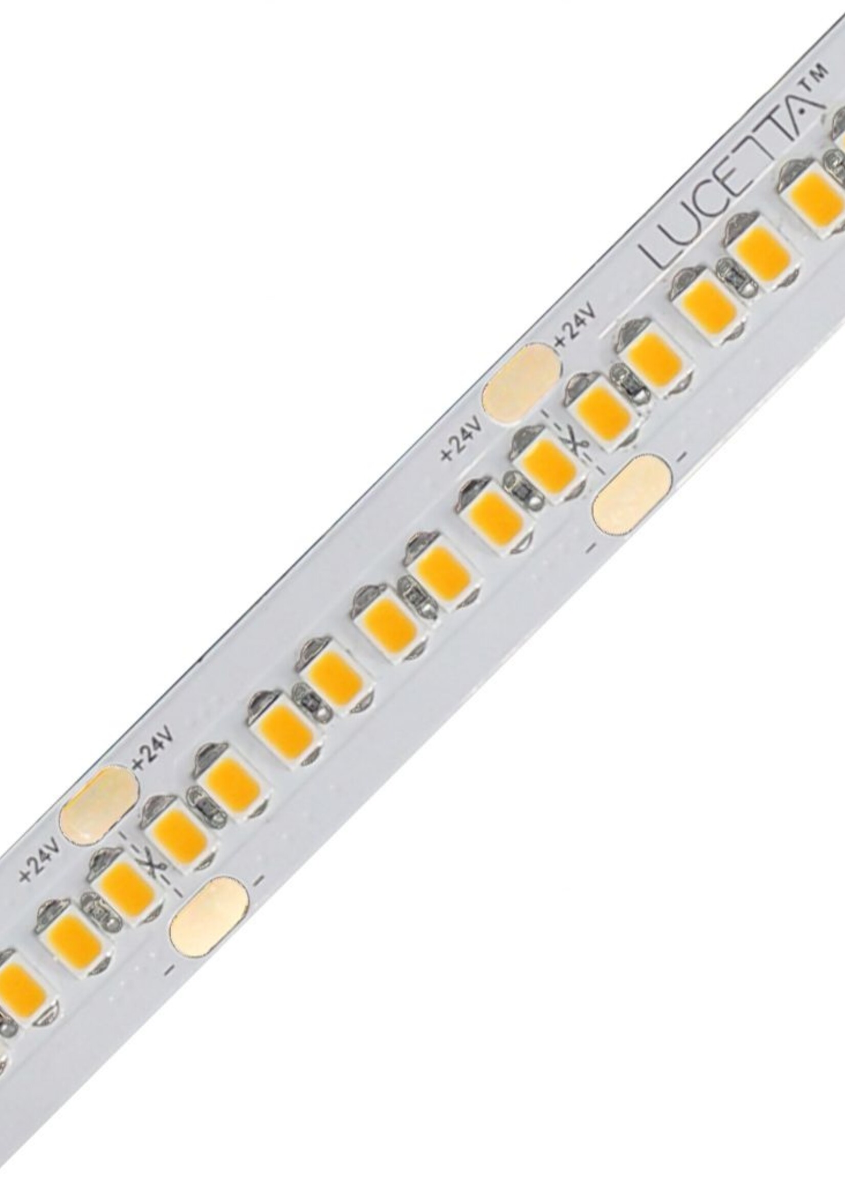 Lucetta Lighting Celeste Wet Location Flexible