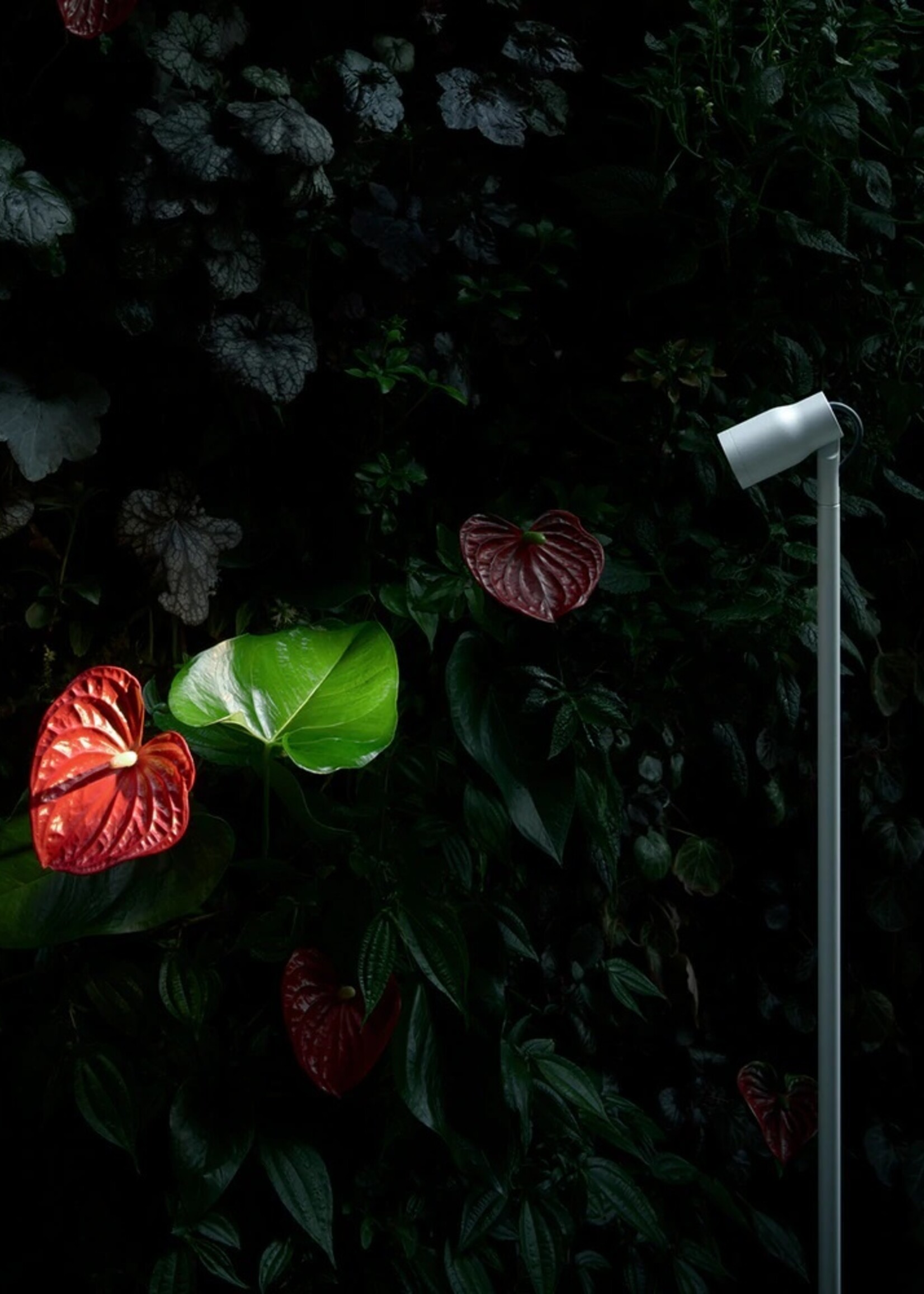FLOS Landlord Spot