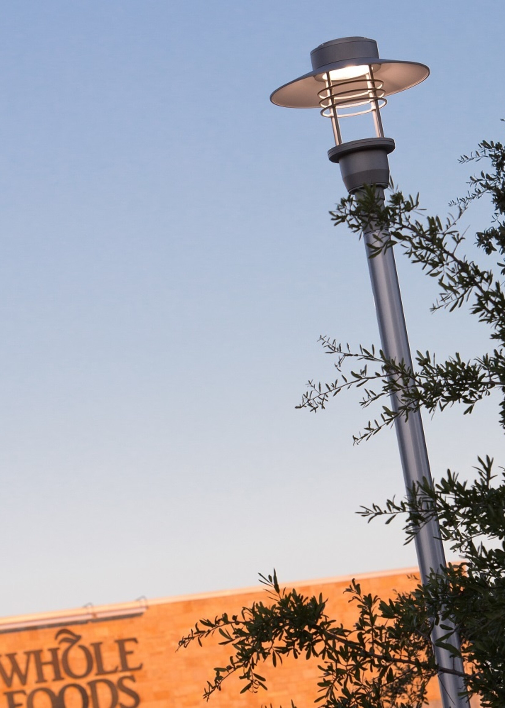 Intrigue Lighting Large Eurotech Full Cutoff