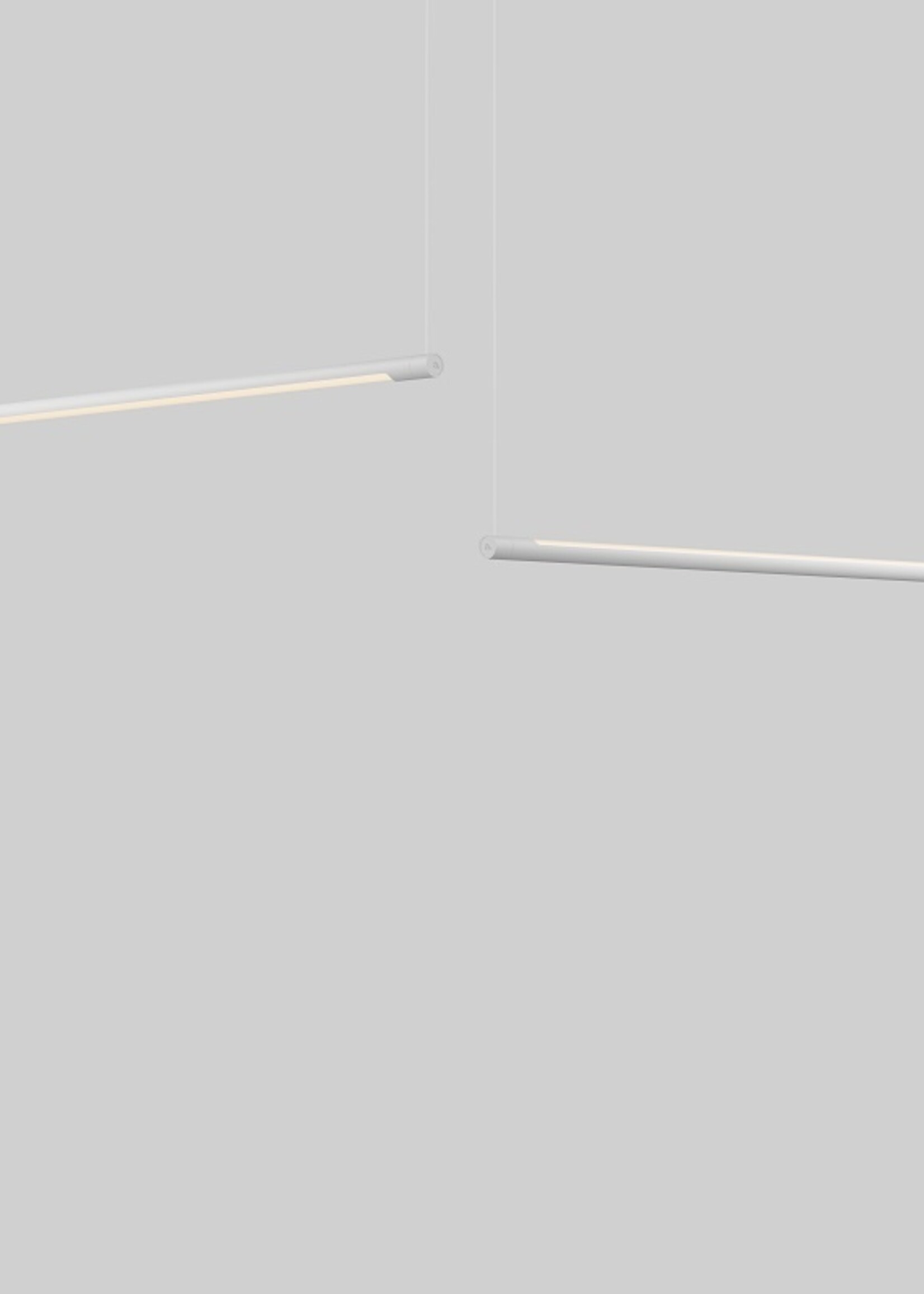 Anony Form
