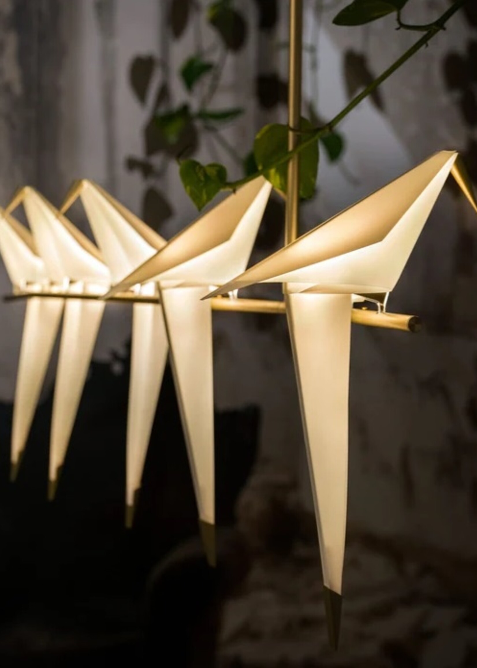Moooi Perch Light