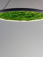 Sattler Luce Verde
