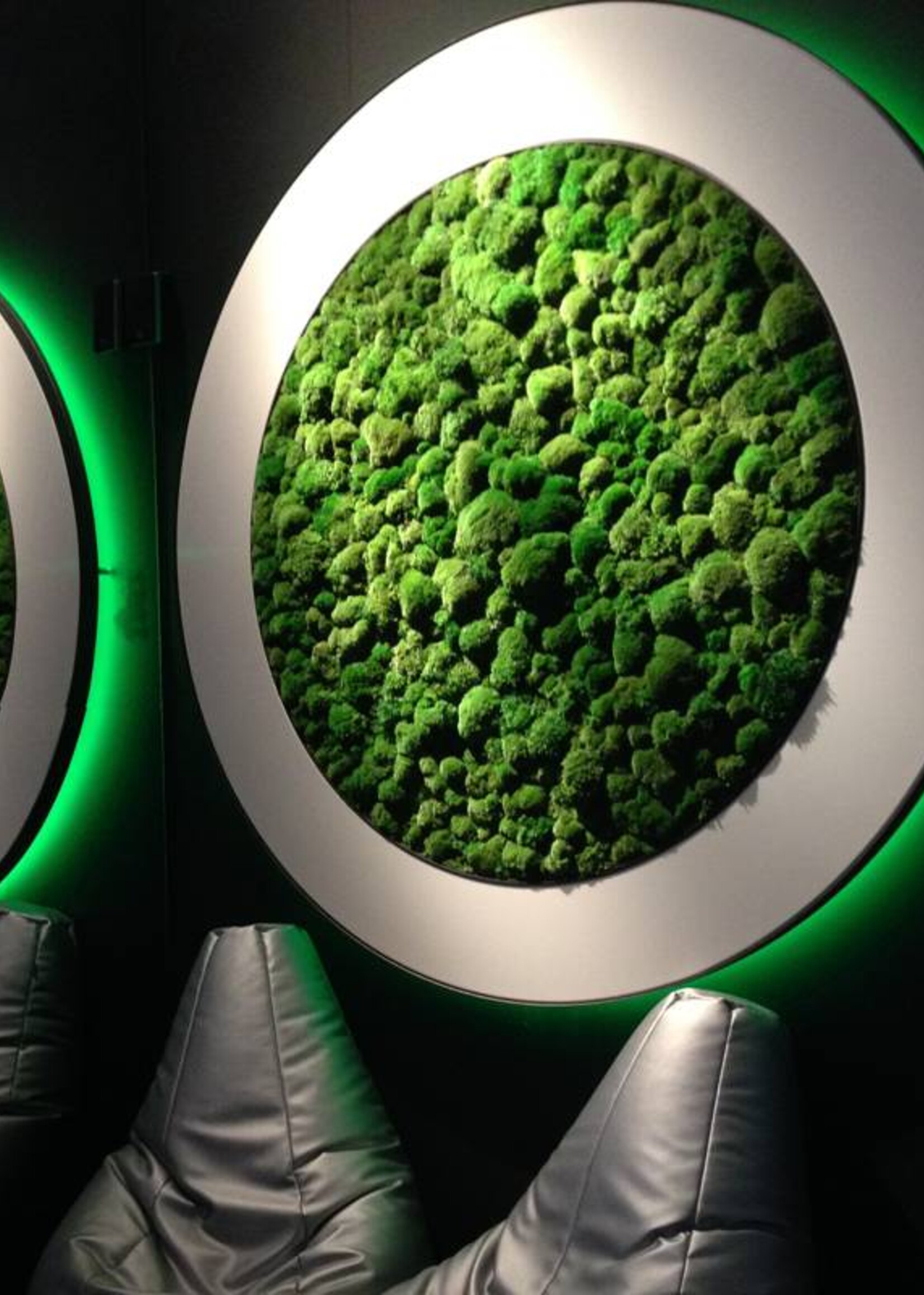 Sattler Luce Verde