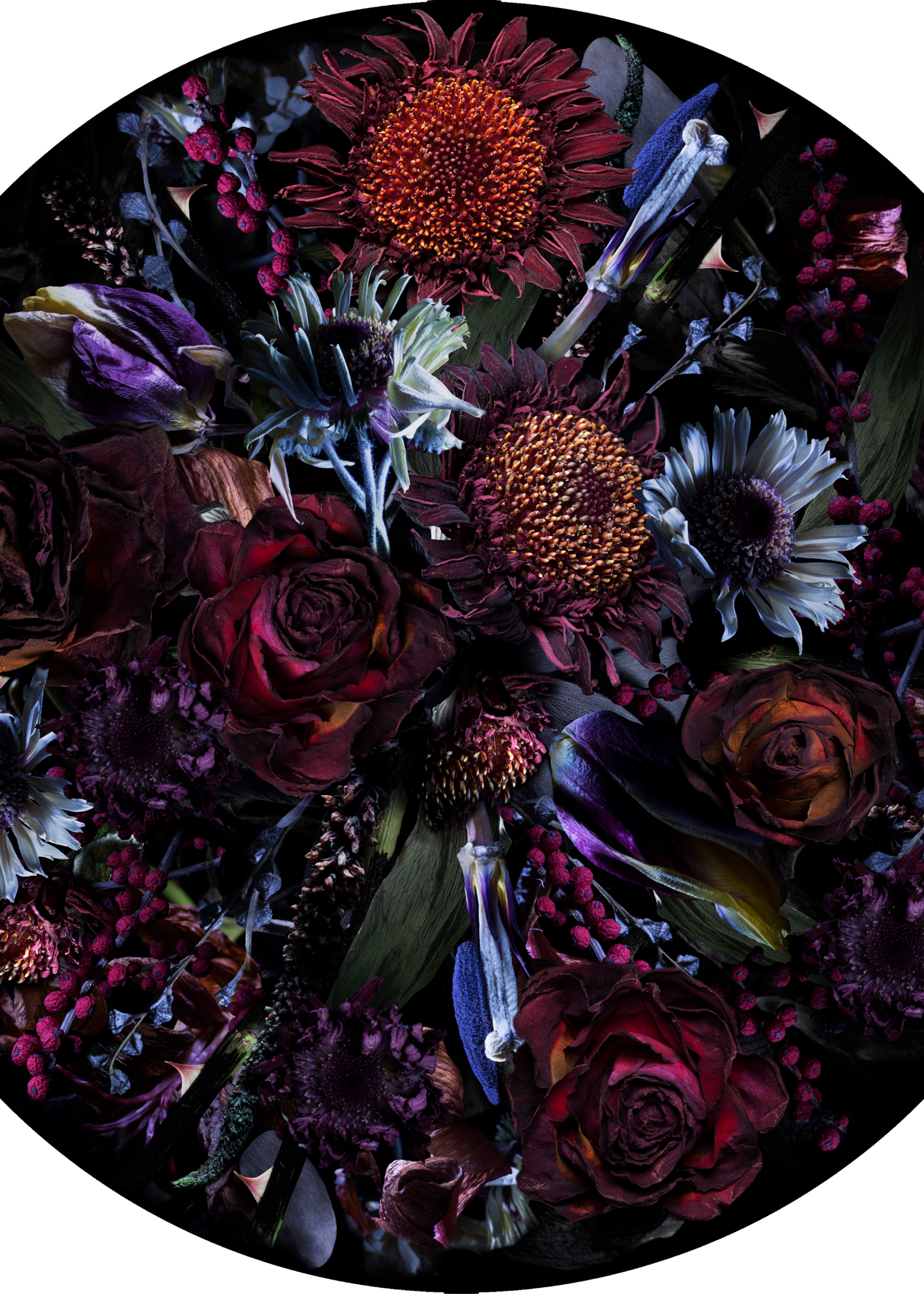 Moooi Acoustic Fools Paradise Carpet