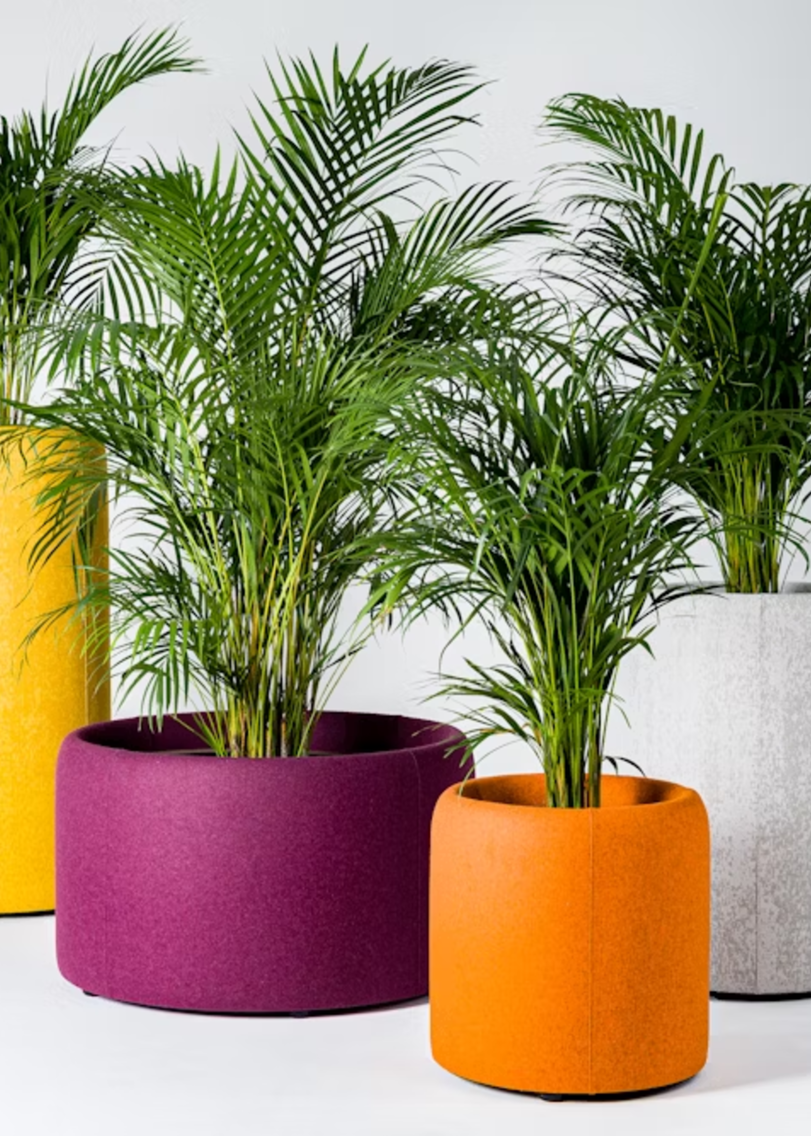 Buzzispace Acoustic BuzziPlanter