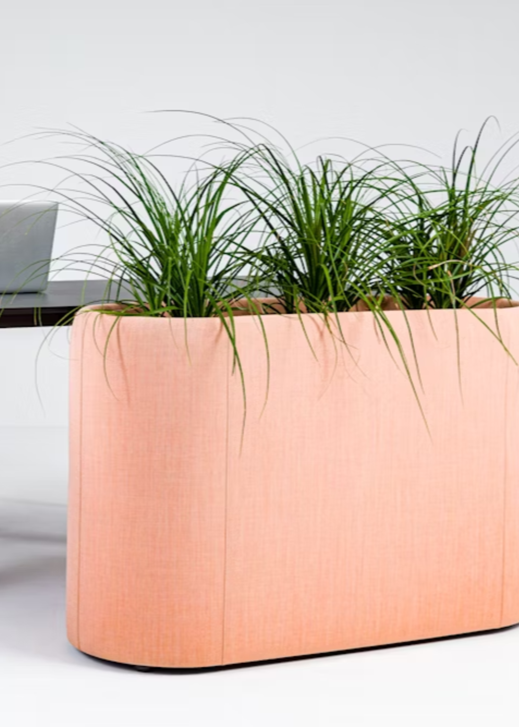 Buzzispace Acoustic BuzziPlanter